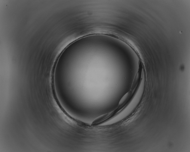 X0000091690803200708231439