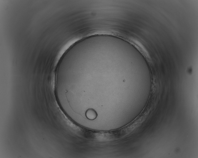 X0000091690804200708231439