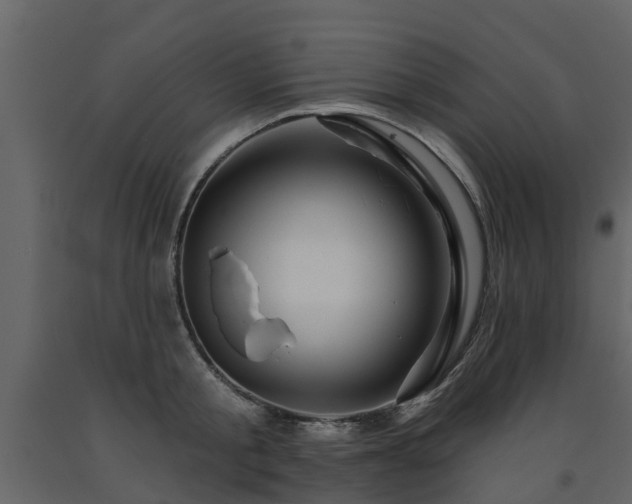 X0000091690805200708231439