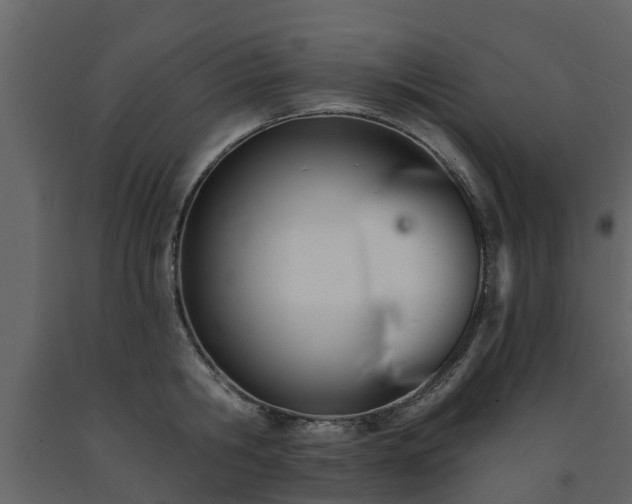 X0000091690806200708231439