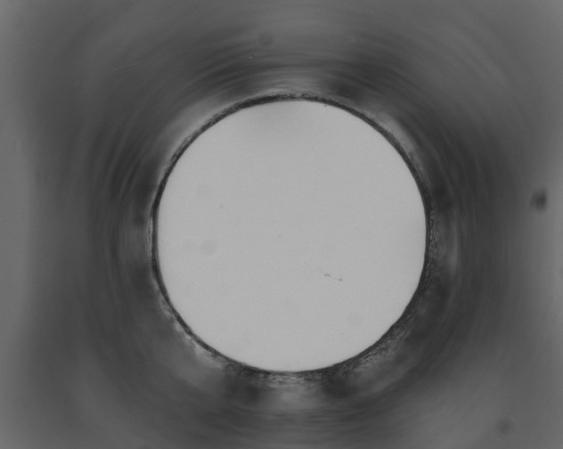 X0000091690807200708231439