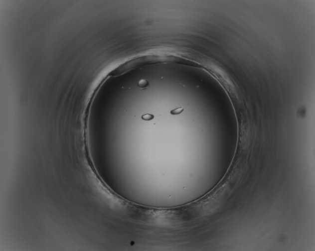 X0000091690808200708231439