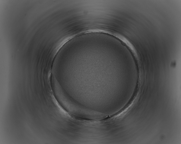 X0000091690809200708231439