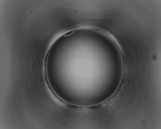 X0000091690811200708231439