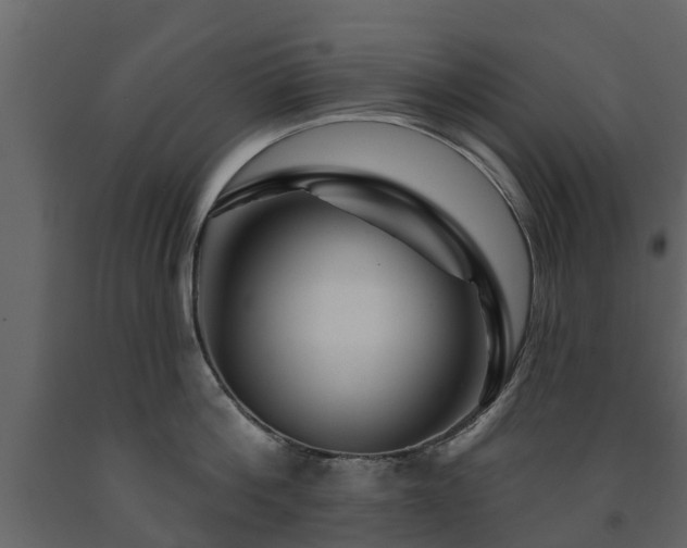 X0000091690812200708231439