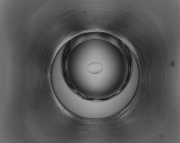 X0000091690813200708231439