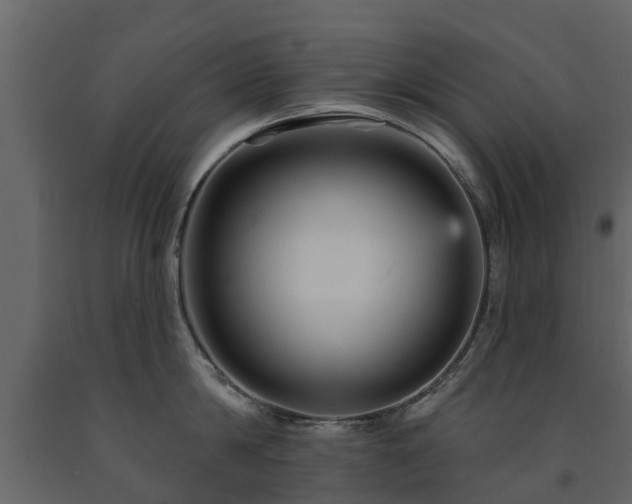X0000091690814200708231439