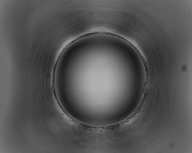 X0000091690815200708231439