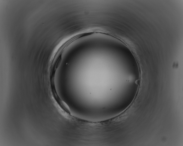 X0000091690816200708231438