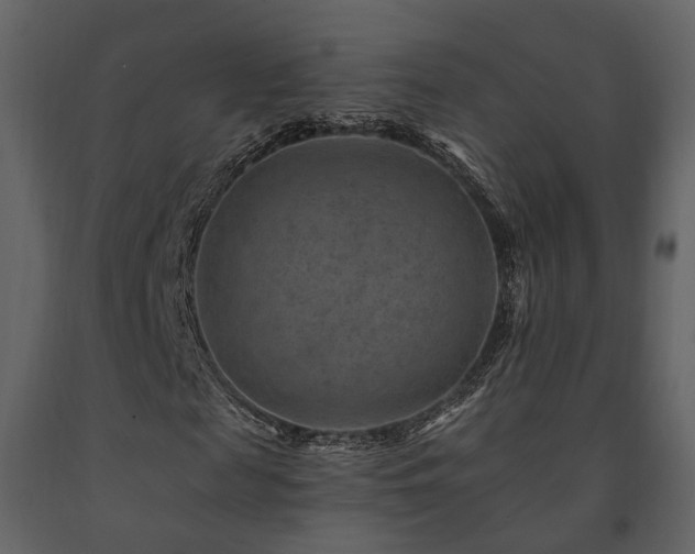 X0000091690817200708231438