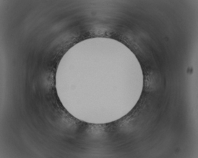 X0000091690820200708231438