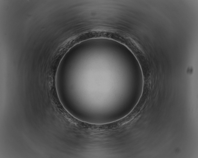 X0000091690821200708231438