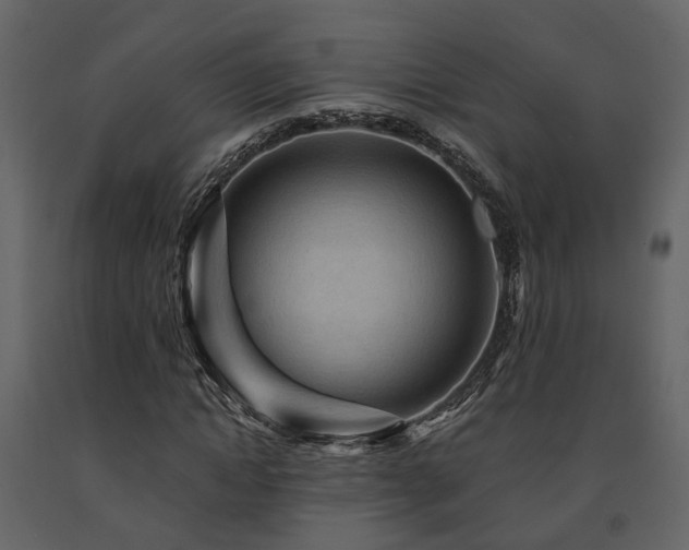 X0000091690822200708231438