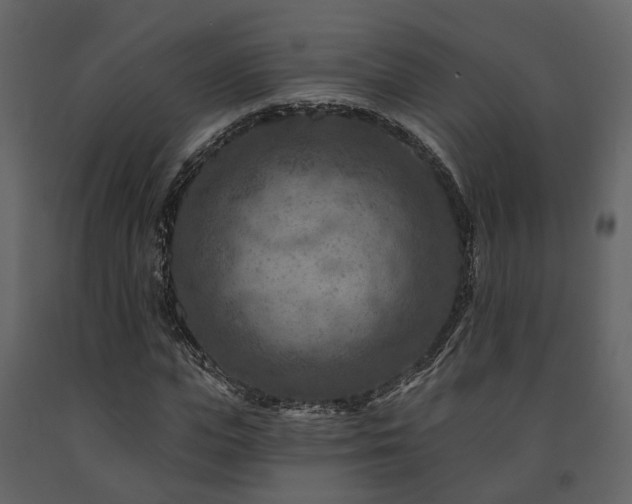 X0000091690823200708231438