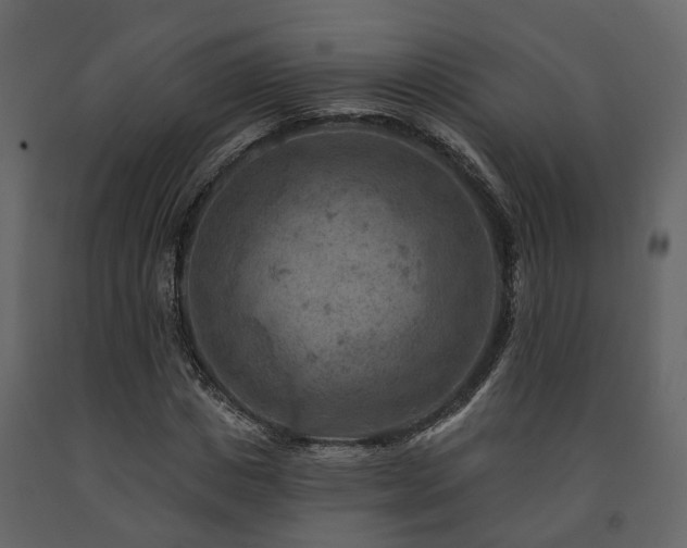 X0000091690825200708231438