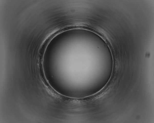 X0000091690827200708231438