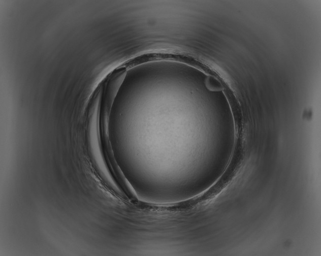 X0000091690829200708231438