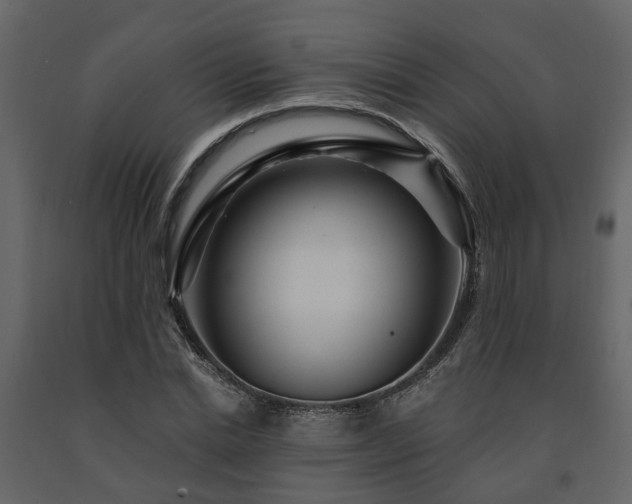 X0000091690830200708231438