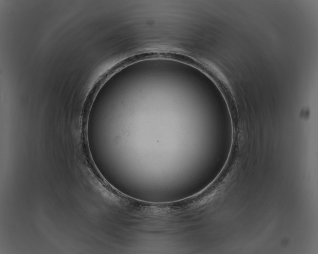 X0000091690831200708231438