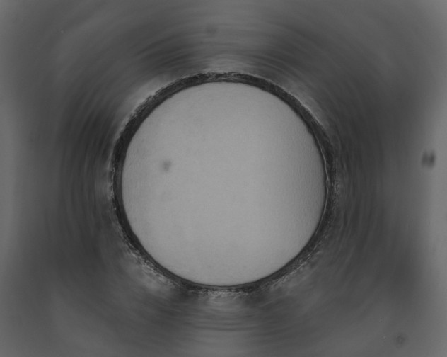 X0000091690832200708231438