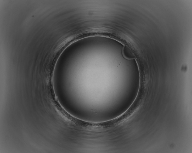 X0000091690833200708231438