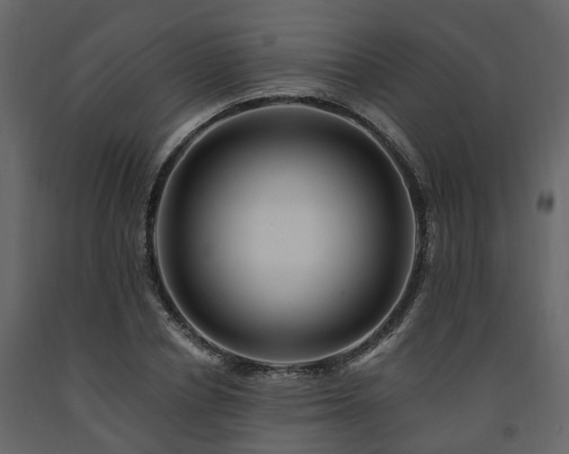 X0000091690834200708231438
