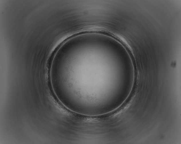 X0000091690835200708231438