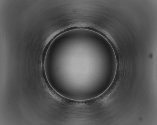 X0000091690837200708231438