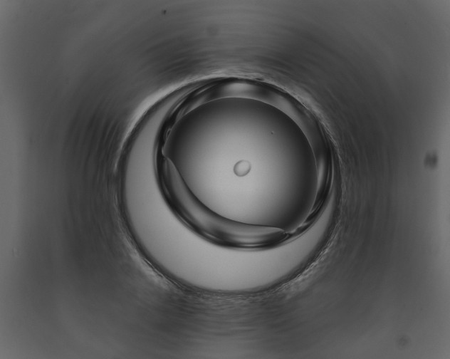 X0000091690838200708231438