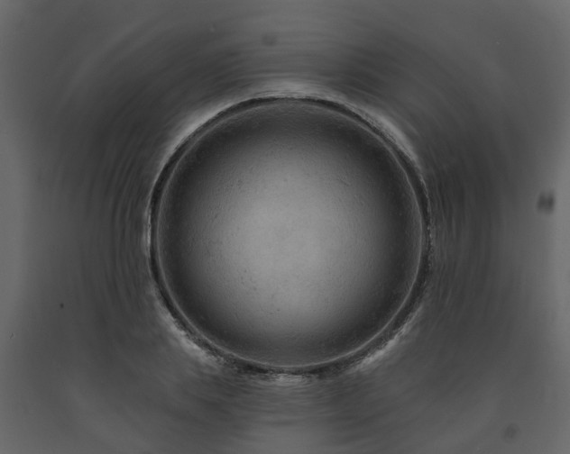 X0000091690839200708231438