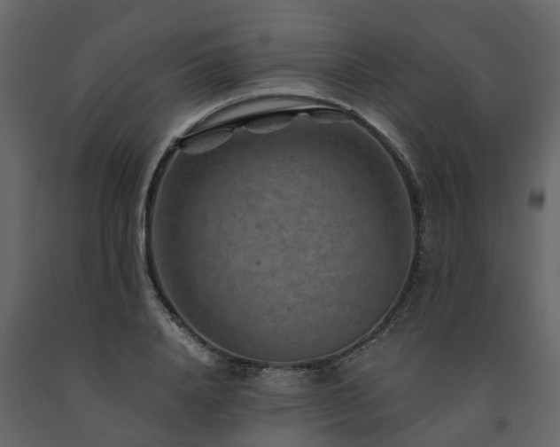 X0000091690840200708231438