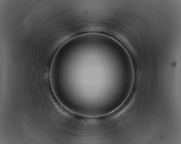 X0000091690841200708231438