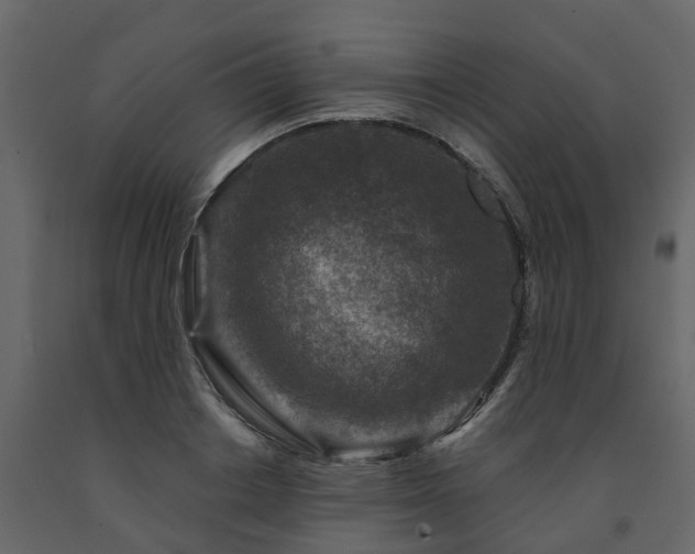 X0000091690842200708231438