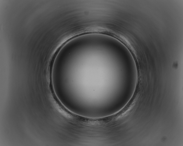 X0000091690843200708231438