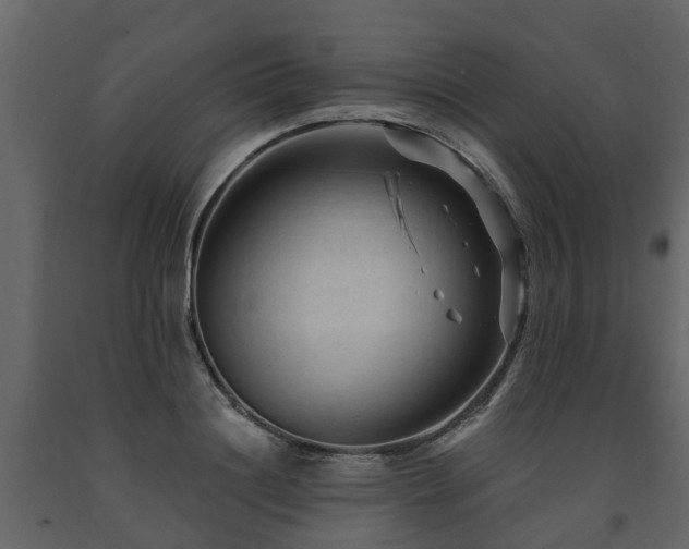 X0000091690844200708231438