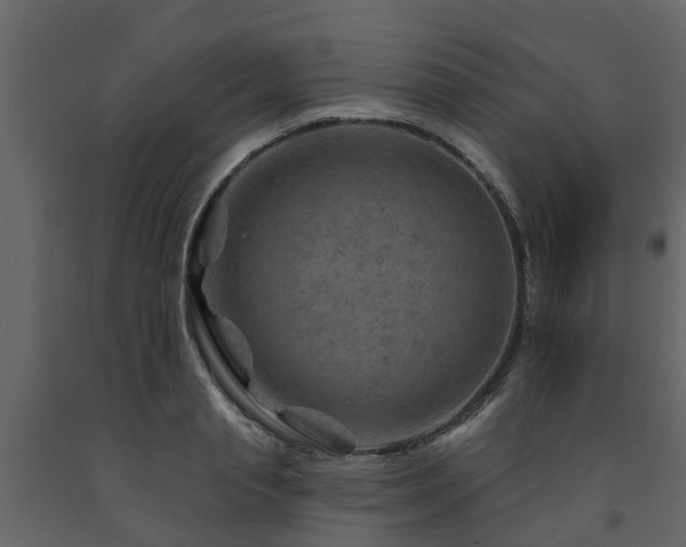 X0000091690845200708231438