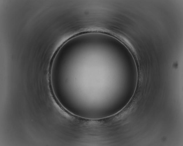 X0000091690847200708231438