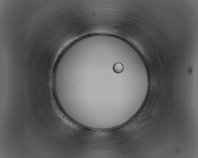 X0000091690848200708231438