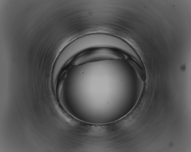 X0000091690850200708231438