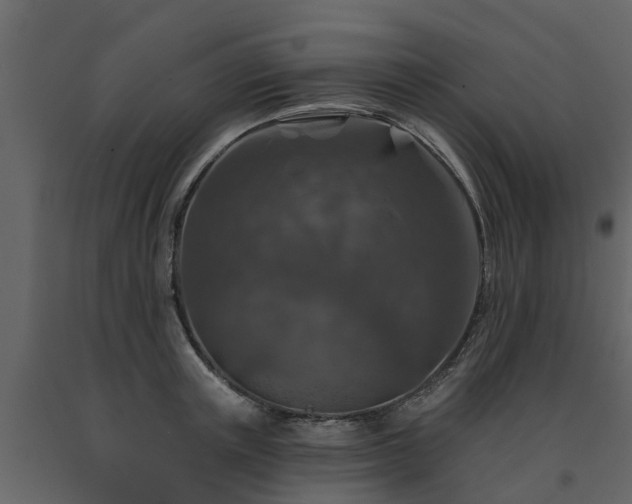 X0000091690851200708231438