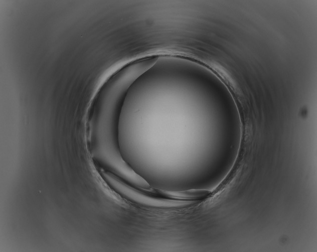 X0000091690854200708231438