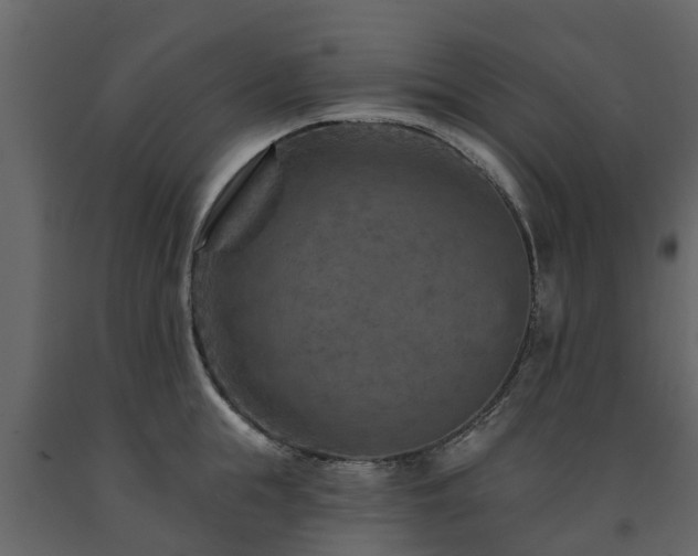X0000091690855200708231438