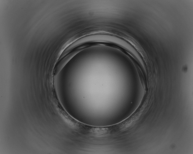 X0000091690858200708231438