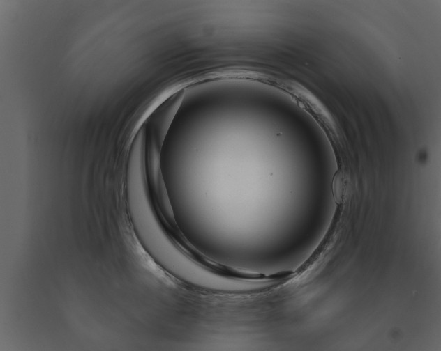 X0000091690860200708231438