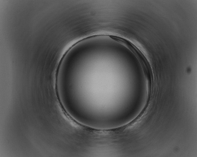 X0000091690862200708231438