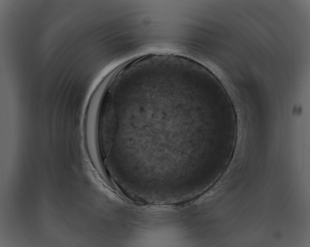 X0000091690864200708231438