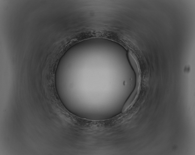 X0000091690865200708231438