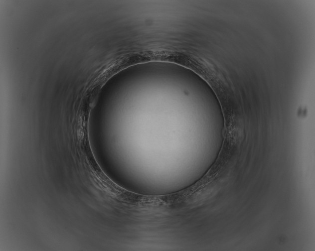 X0000091690866200708231438