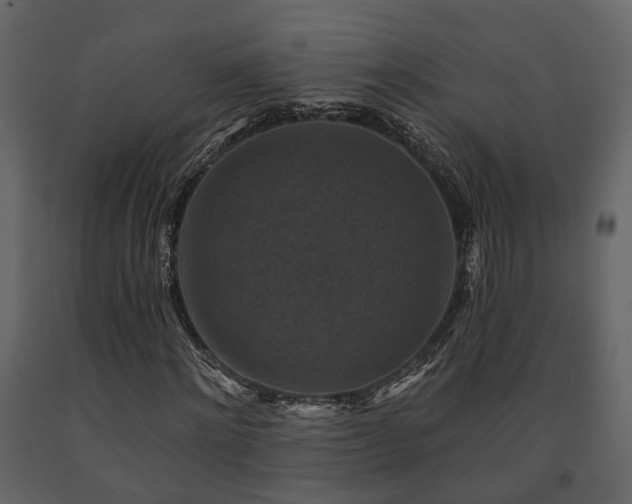 X0000091690868200708231438