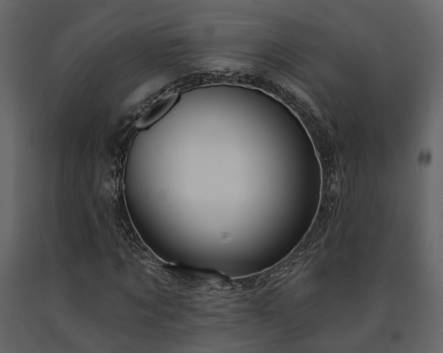 X0000091690869200708231438